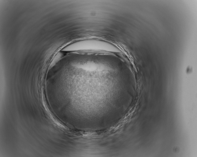 X0000098000097200804071229