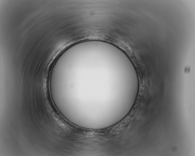 X0000098000098200804071229