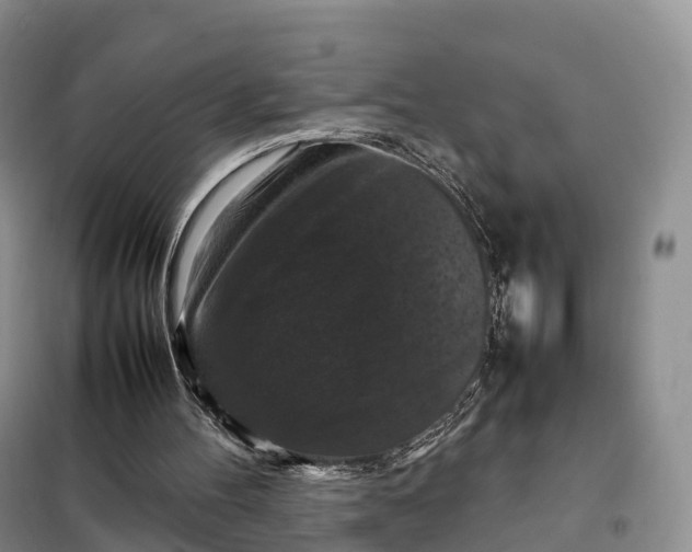 X0000098000100200804071229