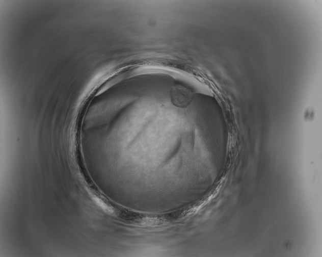 X0000098000101200804071229