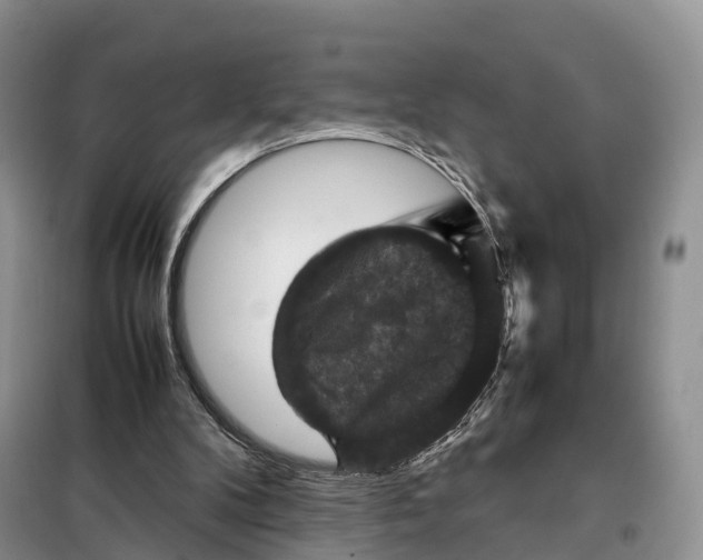 X0000098000104200804071229