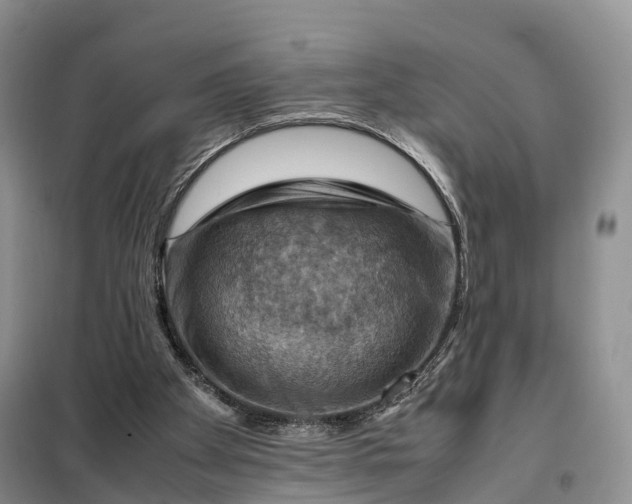 X0000098000105200804071229