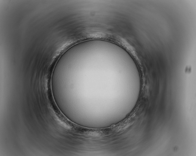 X0000098000106200804071229