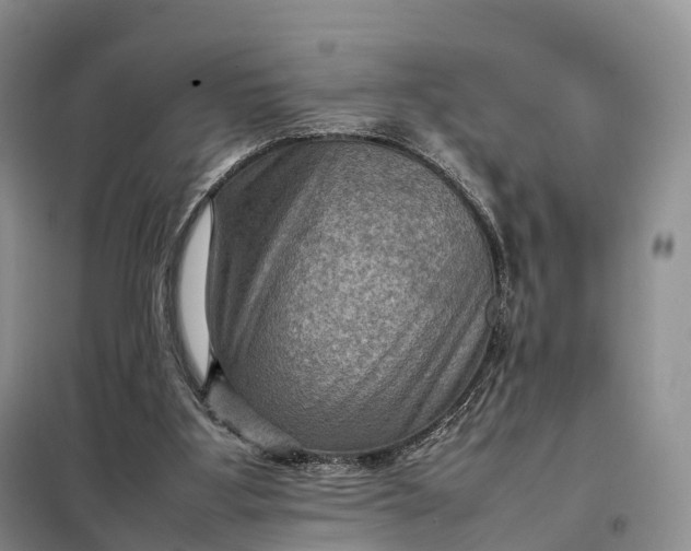 X0000098000107200804071229