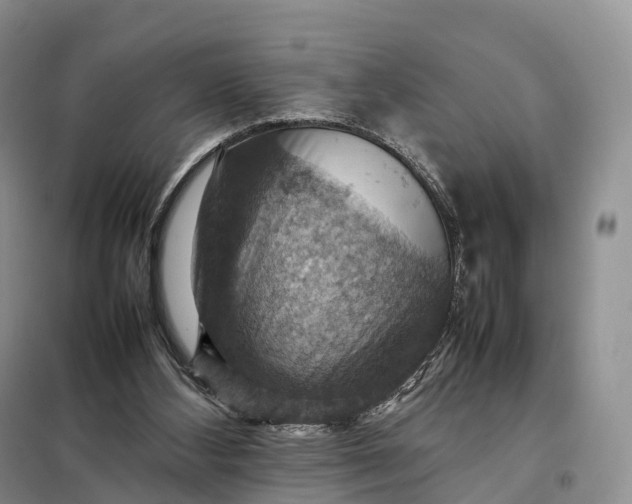 X0000098000108200804071228