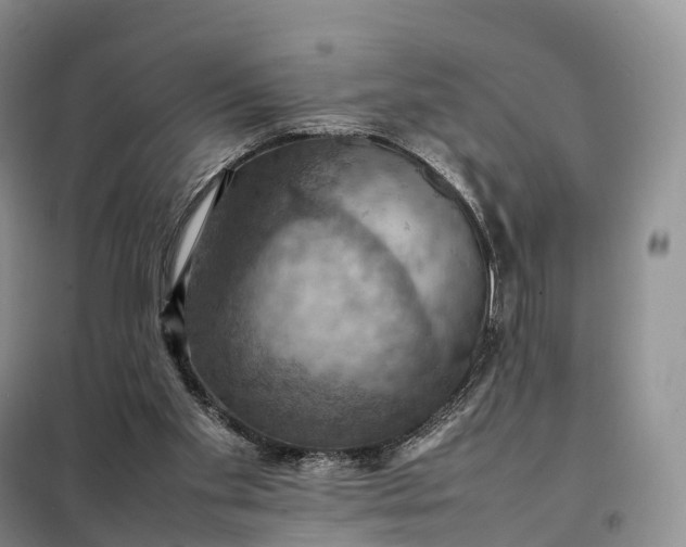 X0000098000109200804071228