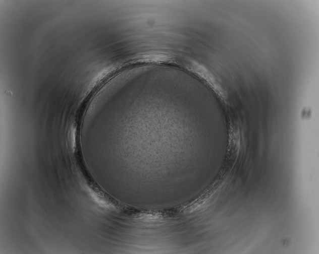 X0000098000110200804071228