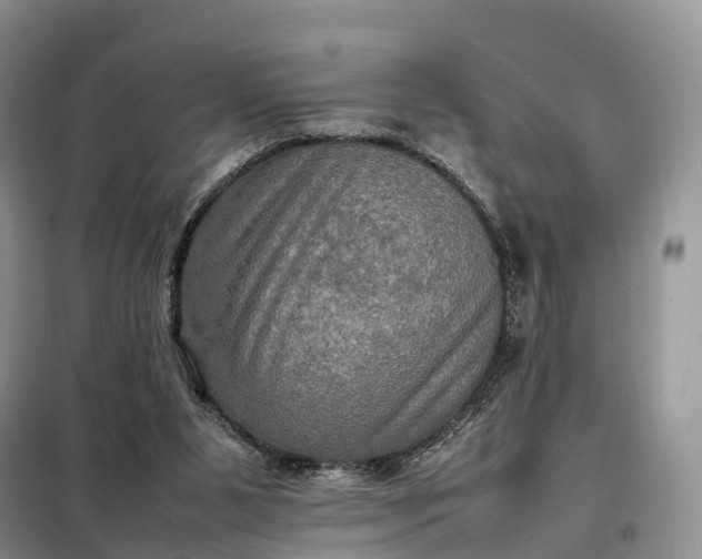 X0000098000111200804071228