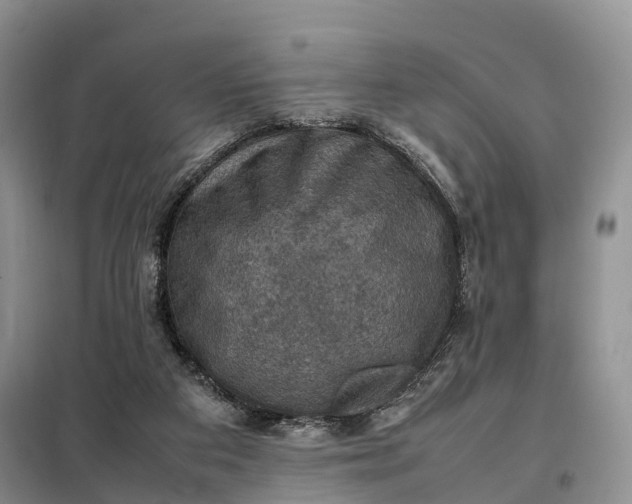 X0000098000113200804071228