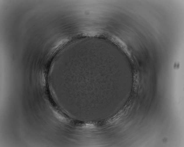 X0000098000114200804071228