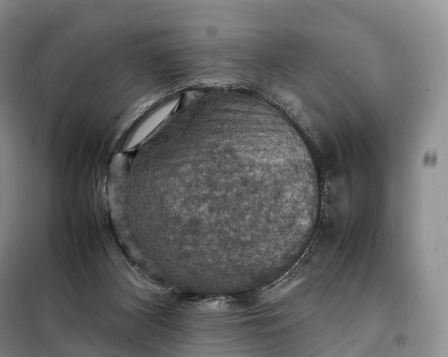 X0000098000116200804071228