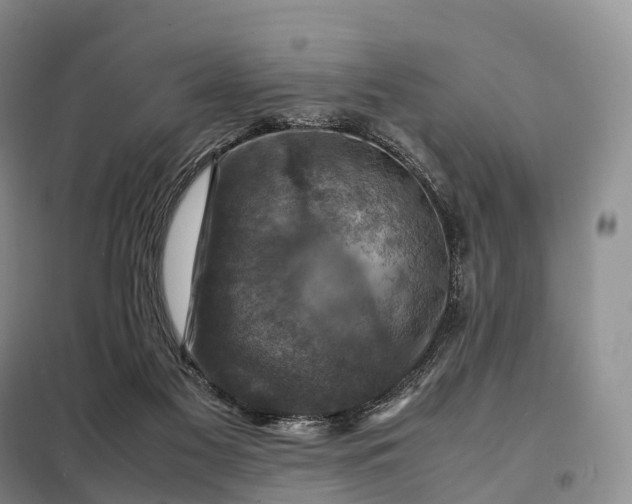 X0000098000117200804071228