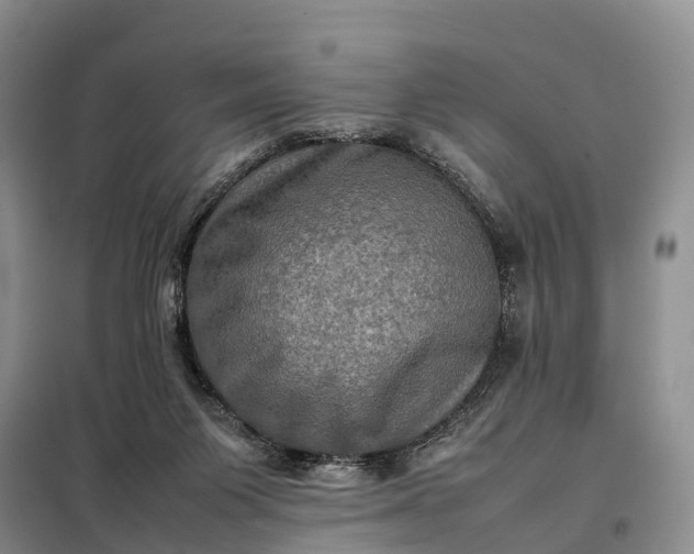 X0000098000119200804071228
