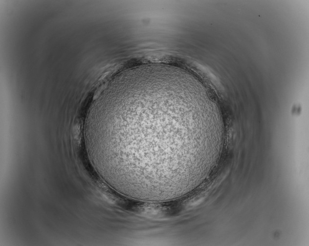 X0000098000121200804071228