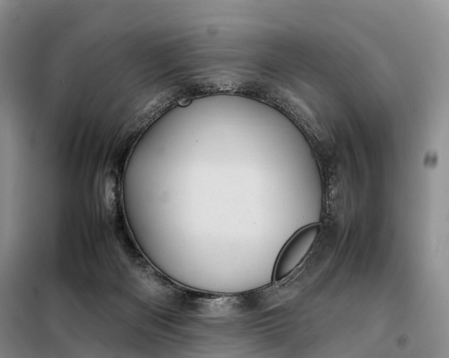 X0000098000122200804071228