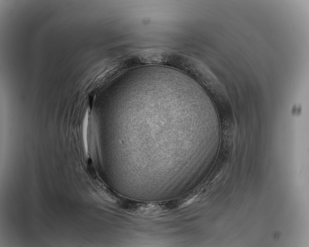 X0000098000125200804071228