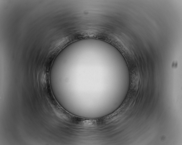 X0000098000126200804071228
