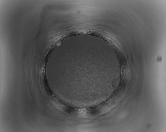 X0000098000127200804071228