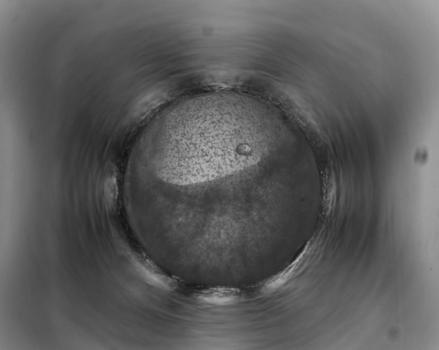 X0000098000128200804071228