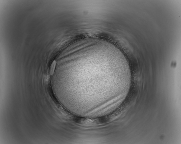 X0000098000129200804071228