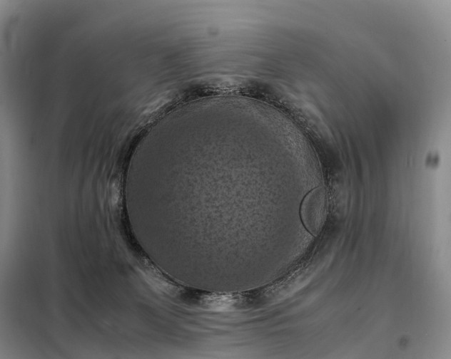 X0000098000131200804071228