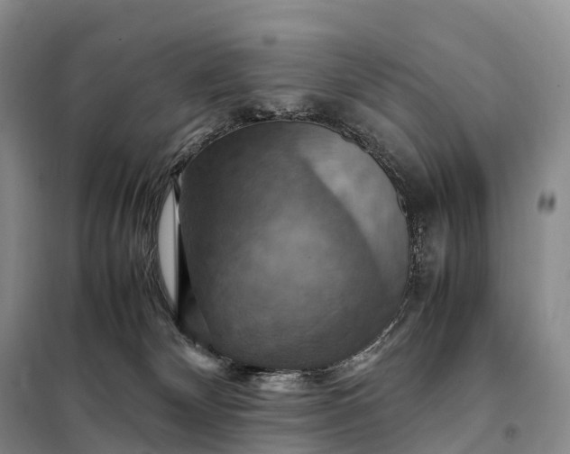 X0000098000132200804071228