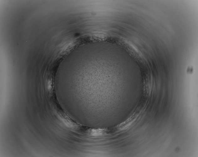 X0000098000134200804071228
