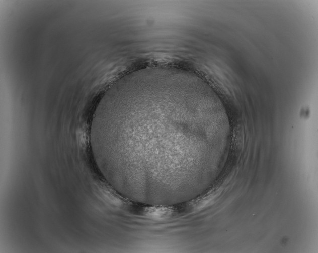 X0000098000135200804071228
