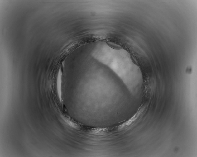 X0000098000136200804071228