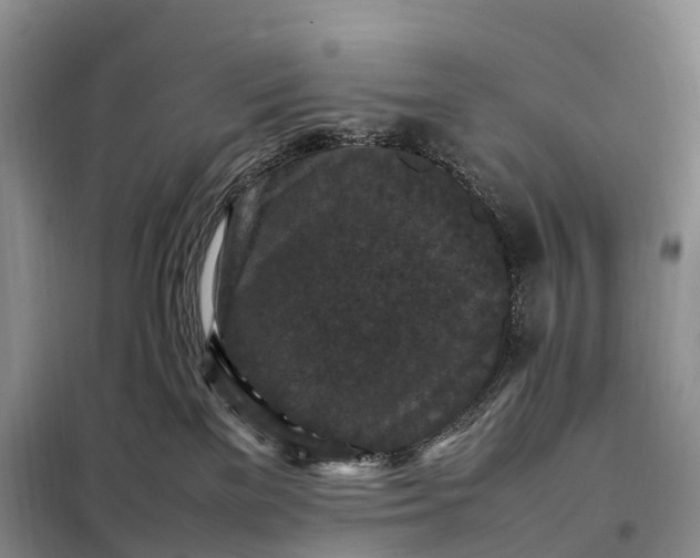 X0000098000137200804071228