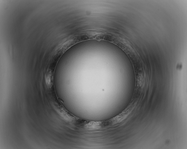 X0000098000138200804071228