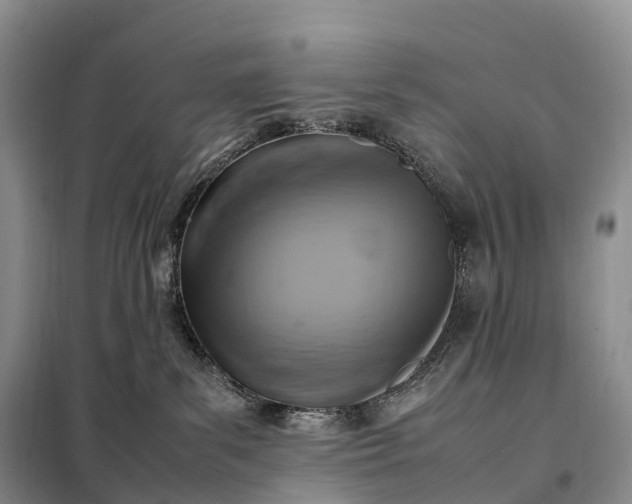 X0000098000139200804071228