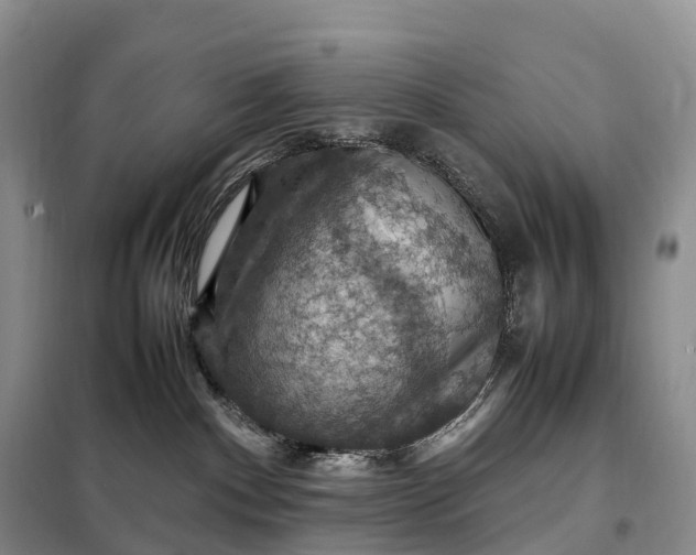 X0000098000140200804071228
