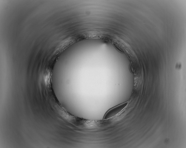 X0000098000142200804071228