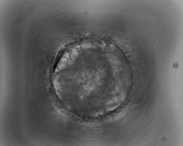 X0000098000144200804071228