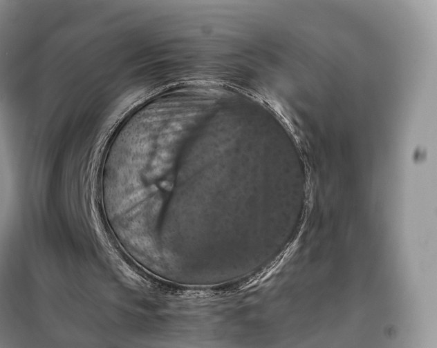 X0000098000145200804071227