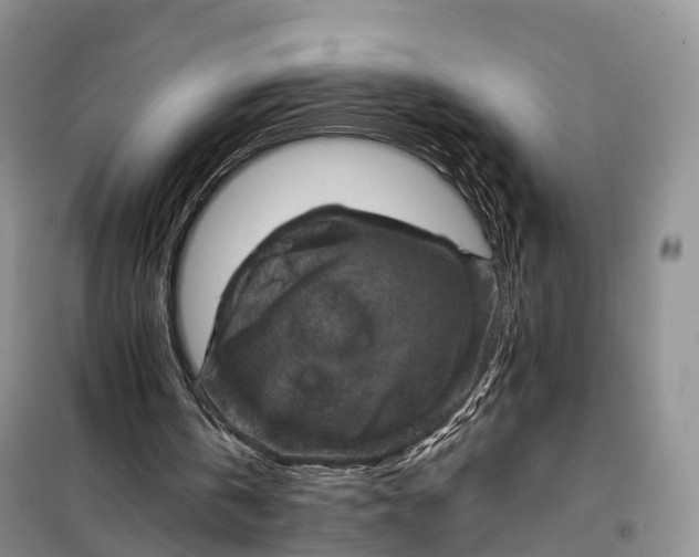 X0000098000146200804071227