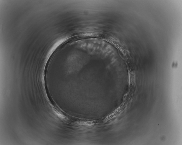 X0000098000147200804071227