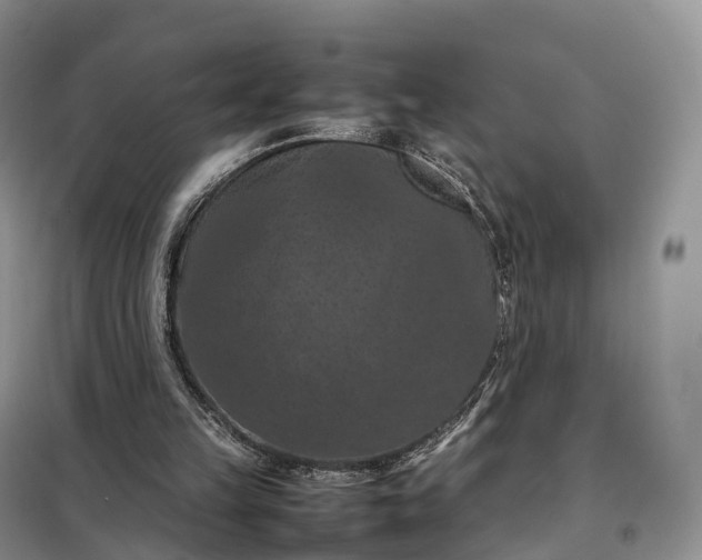 X0000098000149200804071227