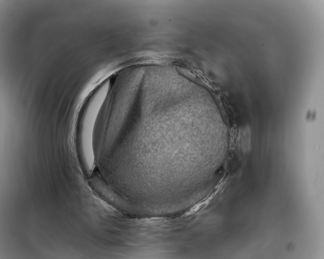 X0000098000150200804071227