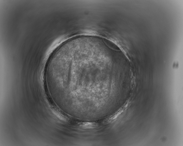 X0000098000151200804071227