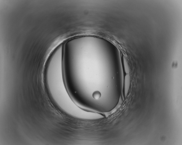 X0000098000152200804071227