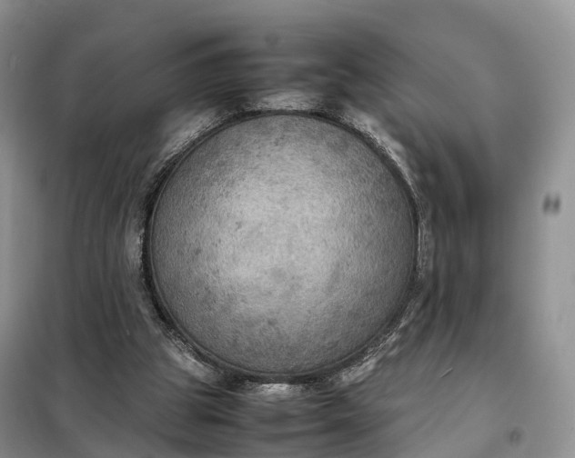 X0000098000153200804071227