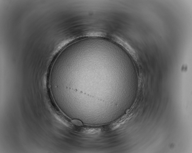 X0000098000155200804071227