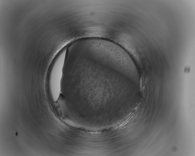 X0000098000156200804071227