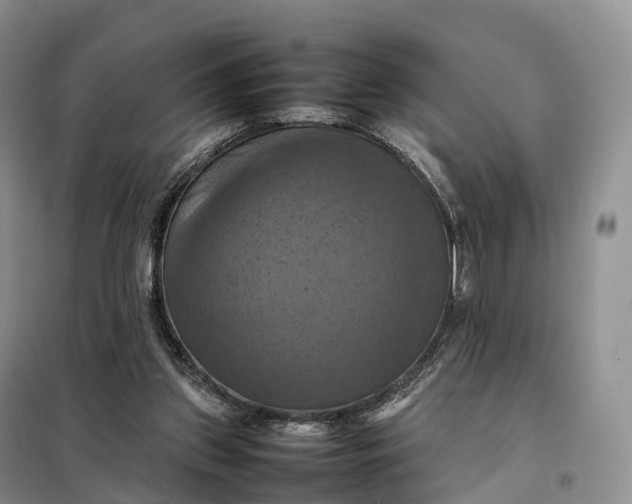 X0000098000157200804071227