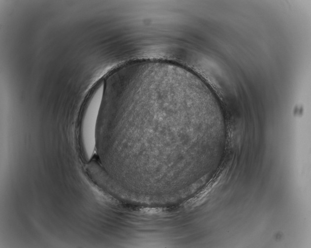 X0000098000160200804071227