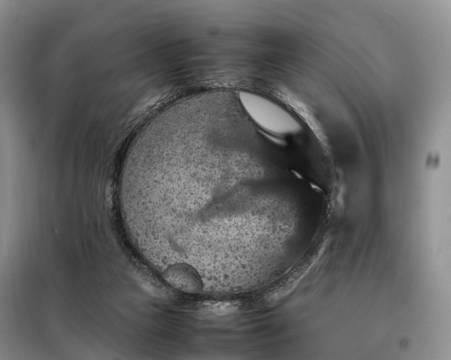 X0000098000161200804071227