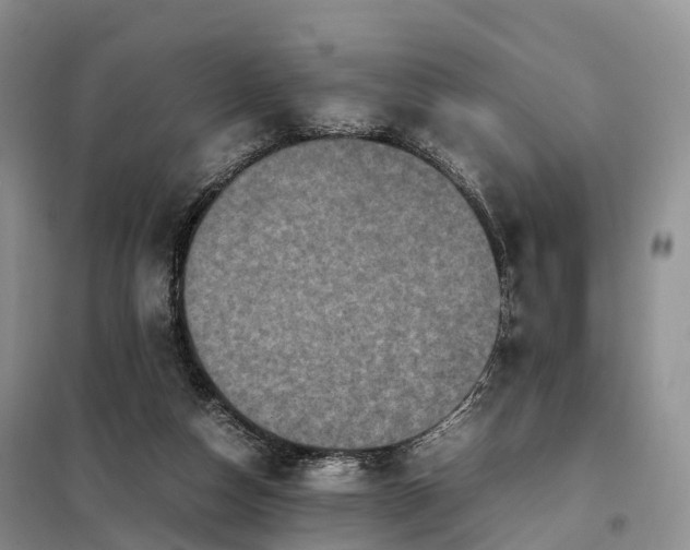 X0000098000162200804071227