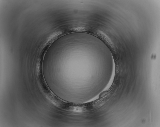 X0000098000163200804071227